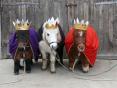 Alexanders Horseboxes would like wish everyone a Happy Christmas and Merry New Year 